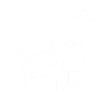 pet care services, Pet Care Services